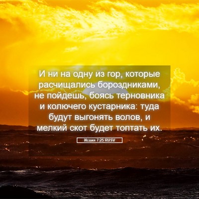 Picture 05 - Исаия 7:25 RUSV - И ни на одну из гор, которые - Bible Verse Picture