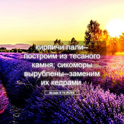 Picture 05 - Исаия 9:10 RUSV - кирпичи пали--построим из - Bible Verse Picture