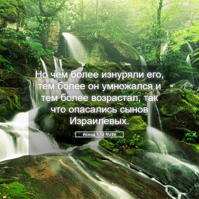 Picture 05 - Исход 1:12 RUSV - Но чем более изнуряли его, - Bible Verse Picture