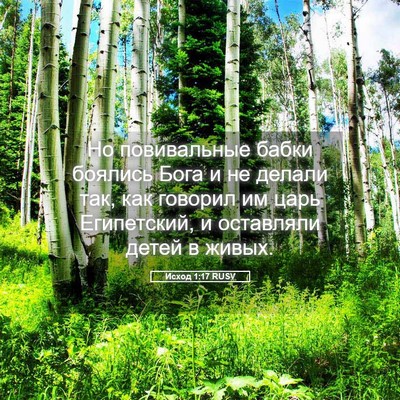 Picture 05 - Исход 1:17 RUSV - Но повивальные бабки - Bible Verse Picture