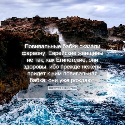 Picture 05 - Исход 1:19 RUSV - Повивальные бабки сказали - Bible Verse Picture