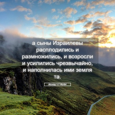 Picture 05 - Исход 1:7 RUSV - а сыны Израилевы - Bible Verse Picture