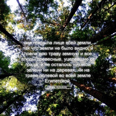 Picture 05 - Исход 10:15 RUSV - она покрыла лице всей - Bible Verse Picture