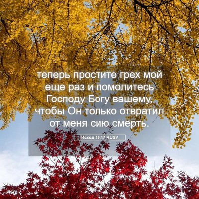 Picture 05 - Исход 10:17 RUSV - теперь простите грех мой - Bible Verse Picture