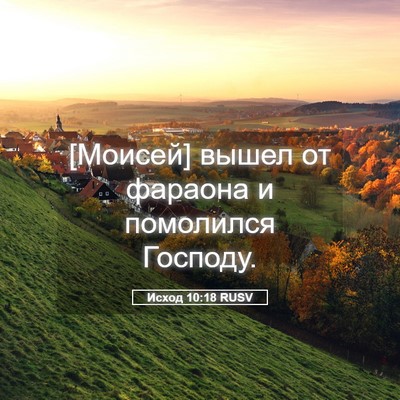 Picture 05 - Исход 10:18 RUSV - [Моисей] вышел от фараона и - Bible Verse Picture