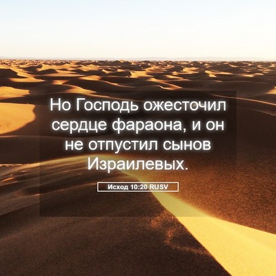 Picture 05 - Исход 10:20 RUSV - Но Господь ожесточил - Bible Verse Picture