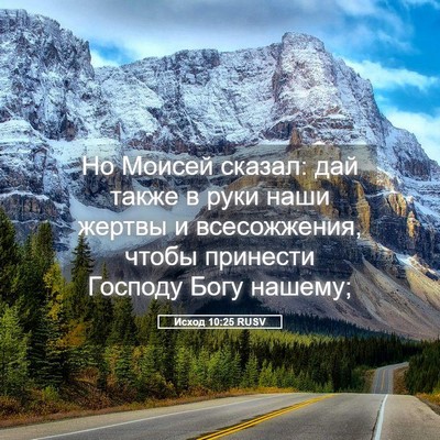 Picture 05 - Исход 10:25 RUSV - Но Моисей сказал: дай также - Bible Verse Picture