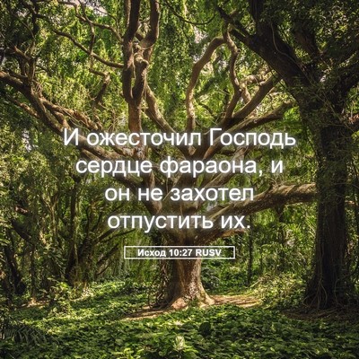 Picture 05 - Исход 10:27 RUSV - И ожесточил Господь сердце - Bible Verse Picture