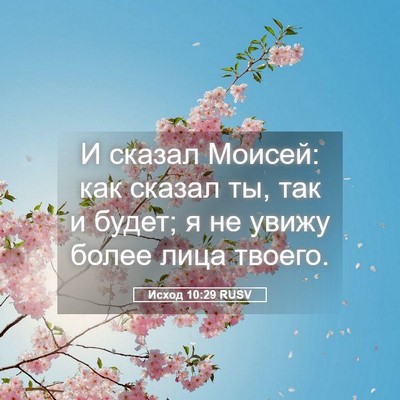 Picture 05 - Исход 10:29 RUSV - И сказал Моисей: как сказал - Bible Verse Picture