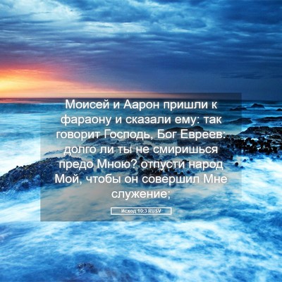 Picture 05 - Исход 10:3 RUSV - Моисей и Аарон пришли к - Bible Verse Picture