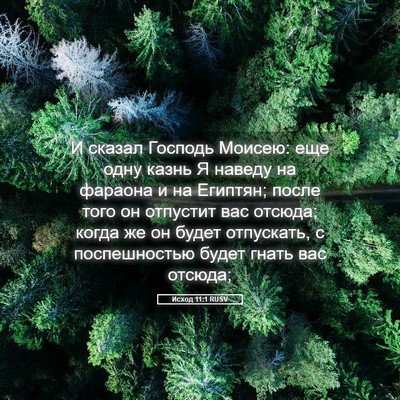 Picture 05 - Исход 11:1 RUSV - И сказал Господь Моисею: - Bible Verse Picture