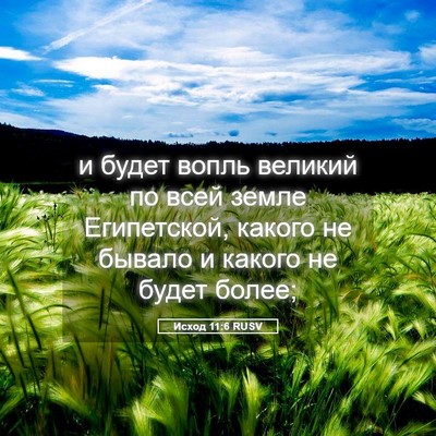 Picture 05 - Исход 11:6 RUSV - и будет вопль великий по - Bible Verse Picture