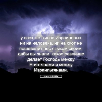 Picture 05 - Исход 11:7 RUSV - у всех же сынов Израилевых - Bible Verse Picture