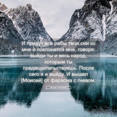 Picture 05 - Исход 11:8 RUSV - И придут все рабы твои сии - Bible Verse Picture