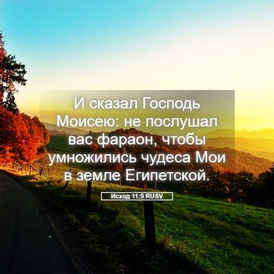Picture 05 - Исход 11:9 RUSV - И сказал Господь Моисею: не - Bible Verse Picture