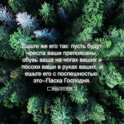 Picture 05 - Исход 12:11 RUSV - Ешьте же его так: пусть - Bible Verse Picture