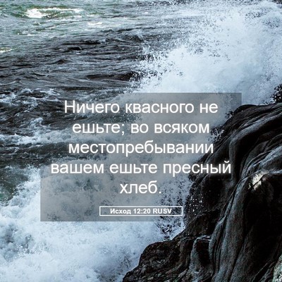 Picture 05 - Исход 12:20 RUSV - Ничего квасного не ешьте; - Bible Verse Picture