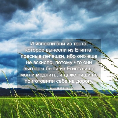 Picture 05 - Исход 12:39 RUSV - И испекли они из теста, - Bible Verse Picture