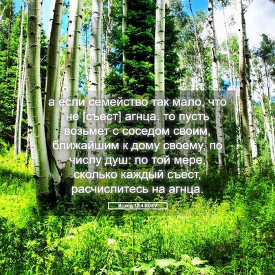 Picture 05 - Исход 12:4 RUSV - а если семейство так мало, - Bible Verse Picture