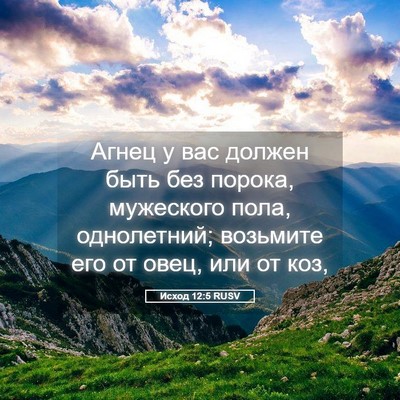 Picture 05 - Исход 12:5 RUSV - Агнец у вас должен быть без - Bible Verse Picture