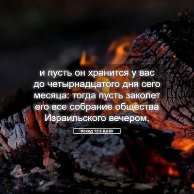 Picture 05 - Исход 12:6 RUSV - и пусть он хранится у вас - Bible Verse Picture