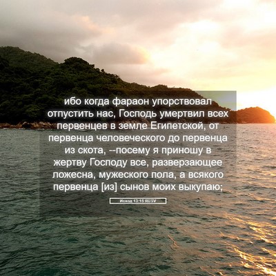 Picture 05 - Исход 13:15 RUSV - ибо когда фараон - Bible Verse Picture