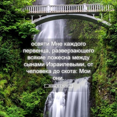 Picture 05 - Исход 13:2 RUSV - освяти Мне каждого - Bible Verse Picture