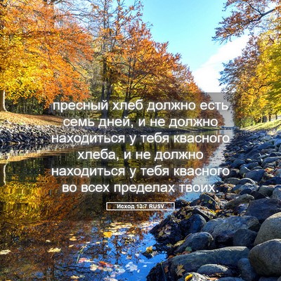 Picture 05 - Исход 13:7 RUSV - пресный хлеб должно есть - Bible Verse Picture