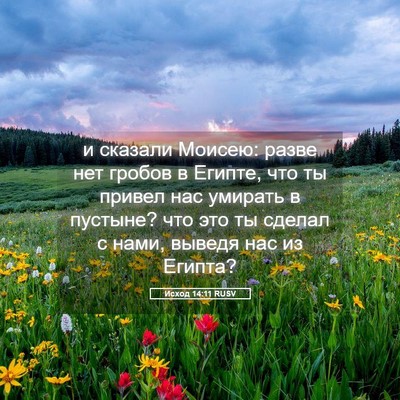 Picture 05 - Исход 14:11 RUSV - и сказали Моисею: разве нет - Bible Verse Picture