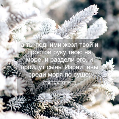Picture 05 - Исход 14:16 RUSV - а ты подними жезл твой и - Bible Verse Picture