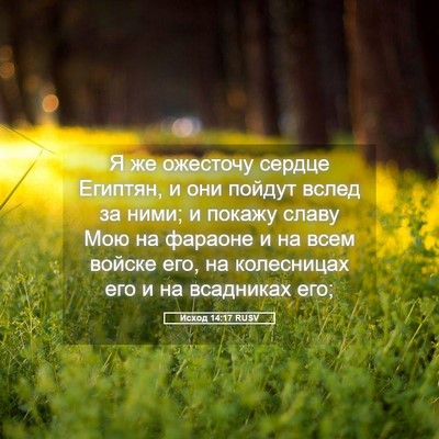Picture 05 - Исход 14:17 RUSV - Я же ожесточу сердце - Bible Verse Picture