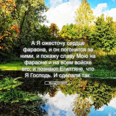 Picture 05 - Исход 14:4 RUSV - А Я ожесточу сердце - Bible Verse Picture