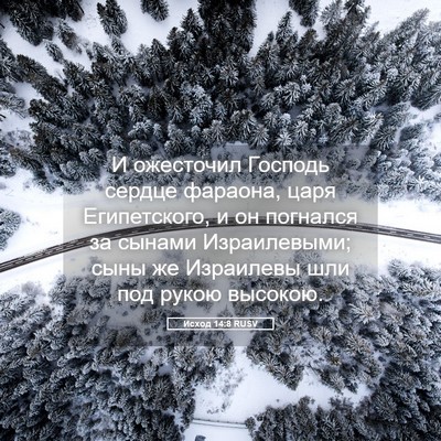 Picture 05 - Исход 14:8 RUSV - И ожесточил Господь сердце - Bible Verse Picture