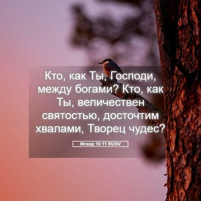 Picture 05 - Исход 15:11 RUSV - Кто, как Ты, Господи, между - Bible Verse Picture