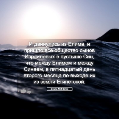 Picture 05 - Исход 16:1 RUSV - И двинулись из Елима, и - Bible Verse Picture