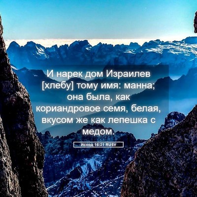 Picture 05 - Исход 16:31 RUSV - И нарек дом Израилев - Bible Verse Picture