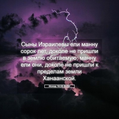 Picture 05 - Исход 16:35 RUSV - Сыны Израилевы ели манну - Bible Verse Picture