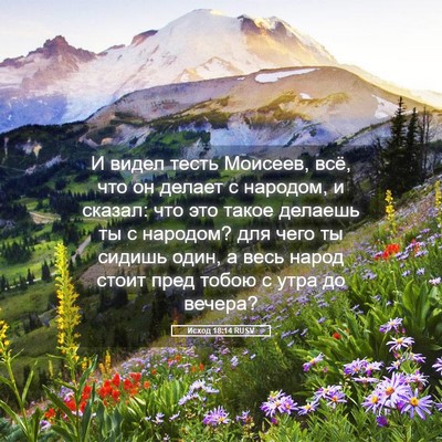 Picture 05 - Исход 18:14 RUSV - И видел тесть Моисеев, всё, - Bible Verse Picture