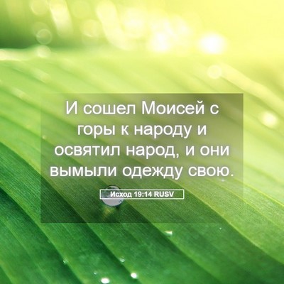 Picture 05 - Исход 19:14 RUSV - И сошел Моисей с горы к - Bible Verse Picture