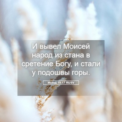 Picture 05 - Исход 19:17 RUSV - И вывел Моисей народ из - Bible Verse Picture