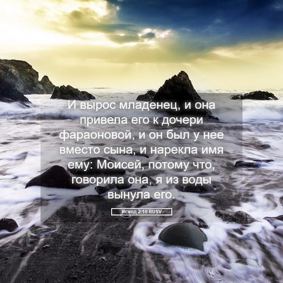 Picture 05 - Исход 2:10 RUSV - И вырос младенец, и она - Bible Verse Picture