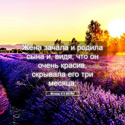 Picture 05 - Исход 2:2 RUSV - Жена зачала и родила сына - Bible Verse Picture