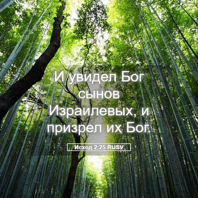 Picture 05 - Исход 2:25 RUSV - И увидел Бог сынов - Bible Verse Picture