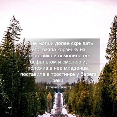 Picture 05 - Исход 2:3 RUSV - но не могши долее скрывать - Bible Verse Picture