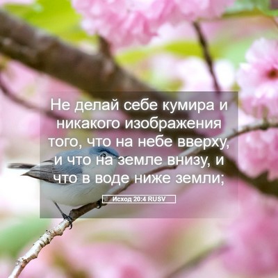 Picture 05 - Исход 20:4 RUSV - Не делай себе кумира и - Bible Verse Picture