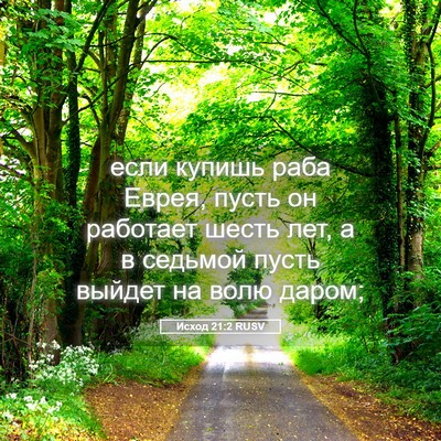 Picture 05 - Исход 21:2 RUSV - если купишь раба Еврея, - Bible Verse Picture