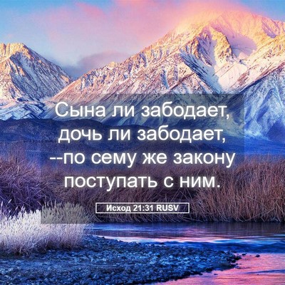 Picture 05 - Исход 21:31 RUSV - Сына ли забодает, дочь ли - Bible Verse Picture