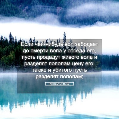 Picture 05 - Исход 21:35 RUSV - Если чей-нибудь вол - Bible Verse Picture