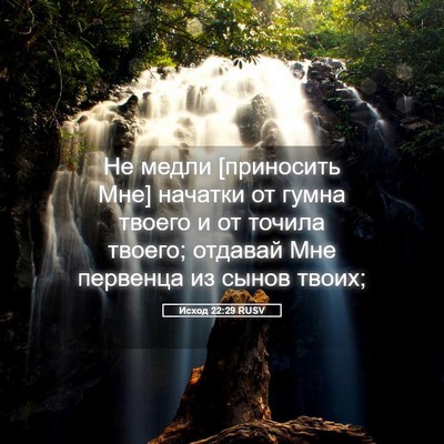 Picture 05 - Исход 22:29 RUSV - Не медли [приносить Мне] - Bible Verse Picture