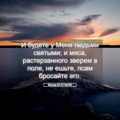 Picture 05 - Исход 22:31 RUSV - И будете у Меня людьми - Bible Verse Picture